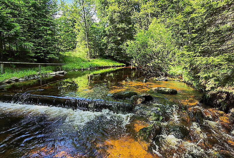 Familien Freizeit Tipps Bayerischer Wald